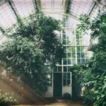 best greenhouse under $1000